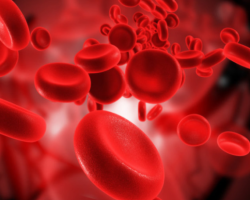 Các nghiên cứu về thiếu máu trong lọc máu