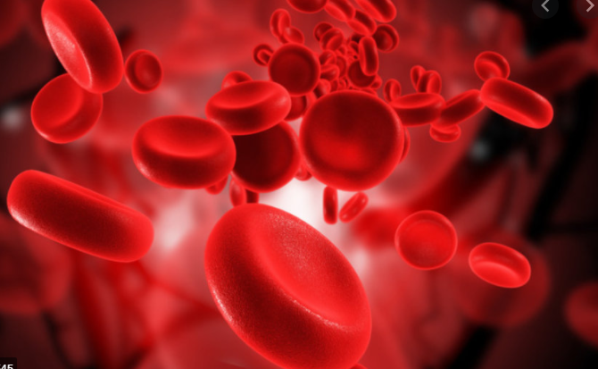 Các nghiên cứu về thiếu máu trong lọc máu